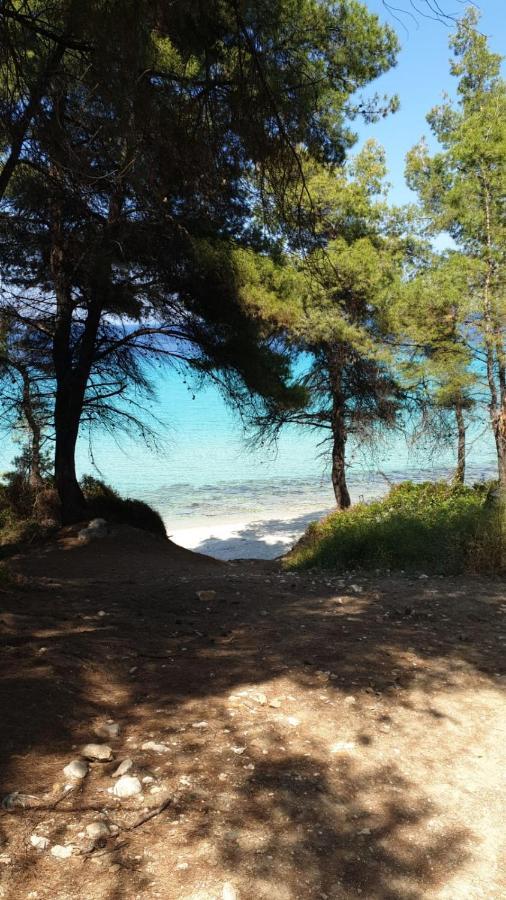 Kriopigi Paradise المظهر الخارجي الصورة